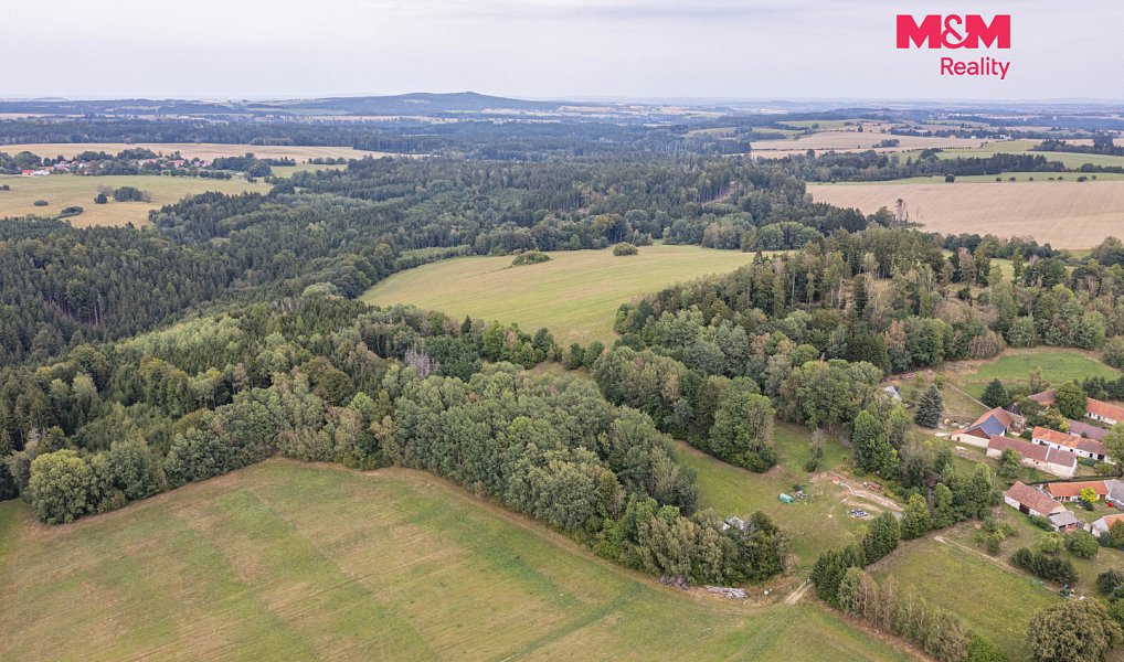 Prodej lesa 715 m², Rodná – náhled fotky 4