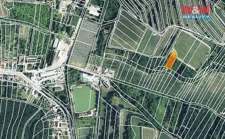 Prodej louky 1 125 m², Němčičky, okres Břeclav