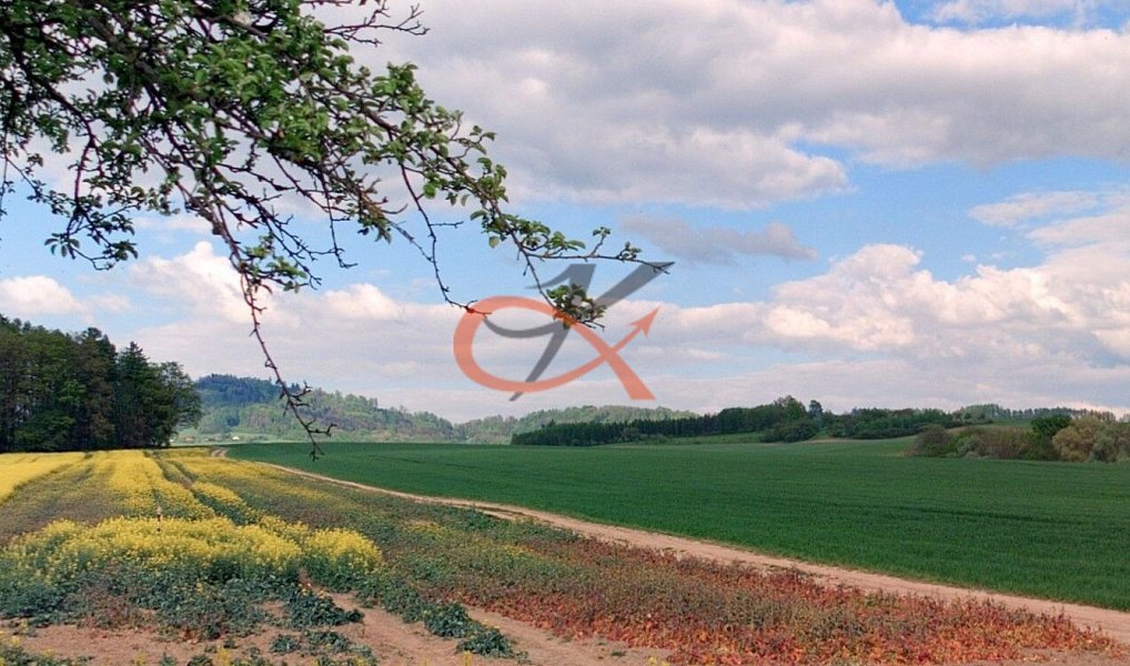 Prodej pole 2 192 m², Lešná – náhled fotky 2
