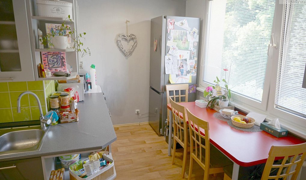 Prodej bytu 3+1 64 m², Litvínov – náhled fotky 10