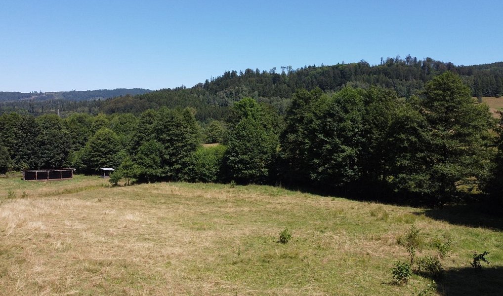 Prodej stavebního pozemku 3 446 m², Olešnice v Orlických horách – náhled fotky 2