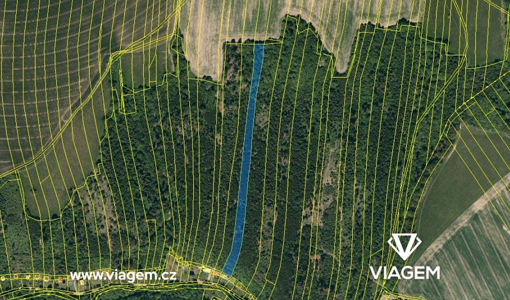 Prodej lesa 7 763 m², Hradec nad Moravicí – náhled fotky 3