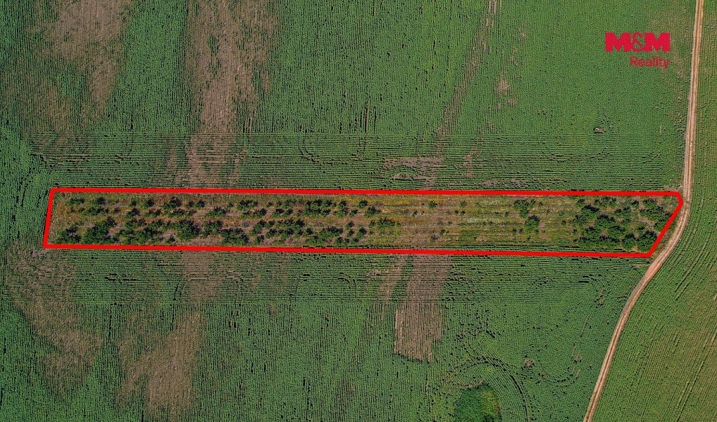 Prodej pole 14 490 m², Zaječí – náhled fotky 14