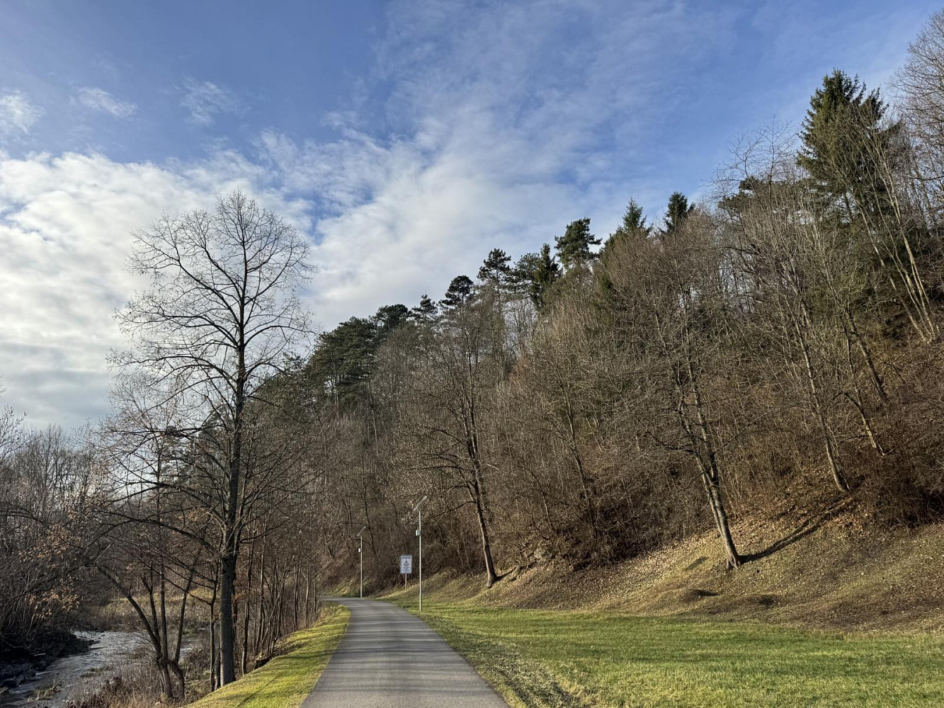 Prodej lesa 4 937 m²