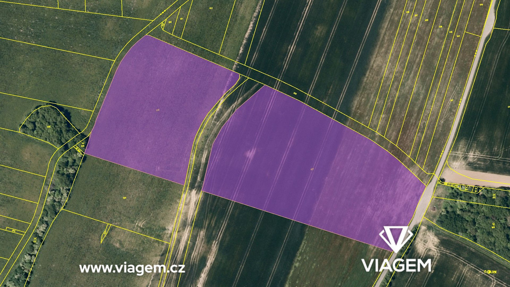 Prodej pole 1 490 m² – fotografie 4