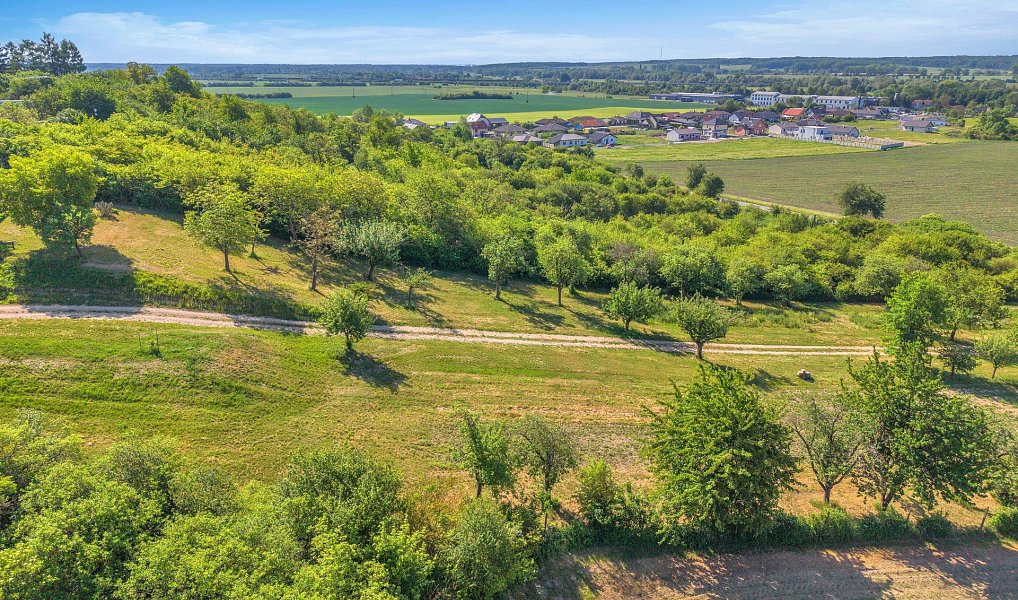 Prodej zahrady 8 945 m², Olešnice – náhled fotky 7
