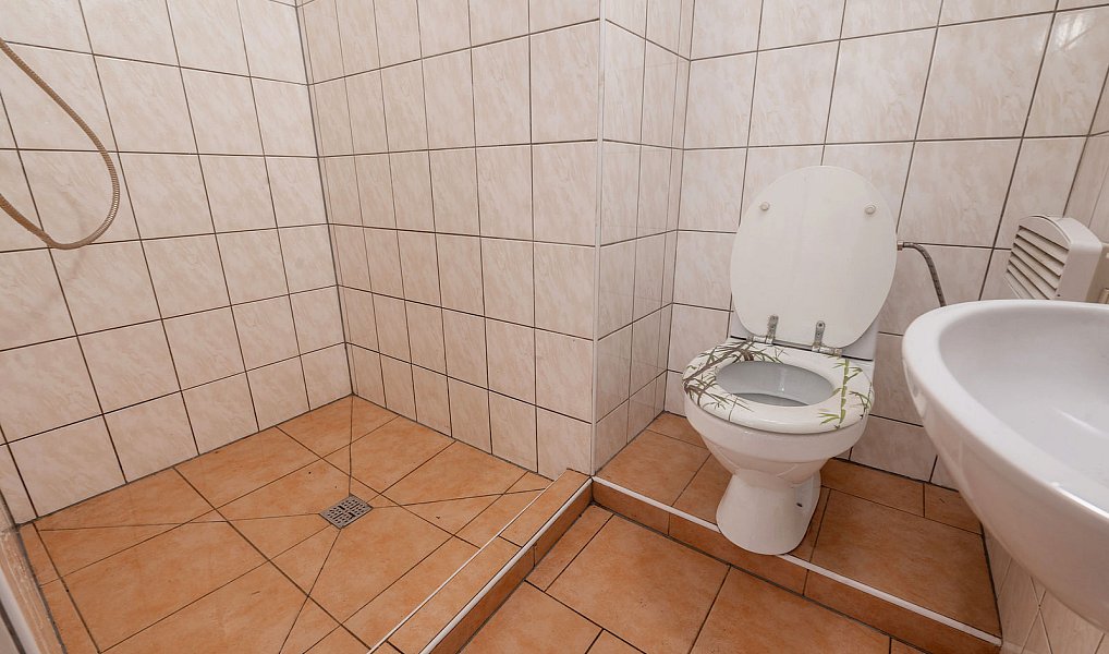 Prodej domu 450 m² s pozemkem 3 736 m², Čachrov – náhled fotky 8