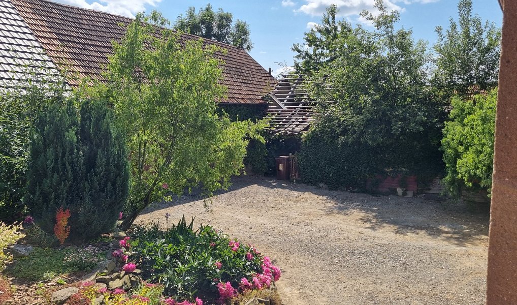 Prodej domu 200 m² s pozemkem 1 325 m², Žďárná – náhled fotky 15