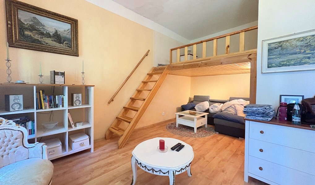 Pronájem bytu 2+kk 60 m², Karlovy Vary – náhled fotky 2