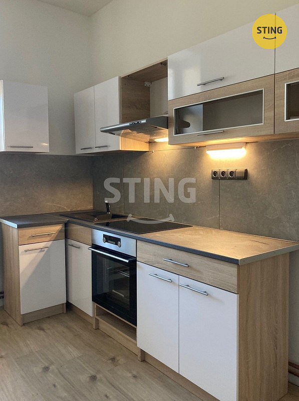 Pronájem bytu 2+kk 55 m² — photo 2