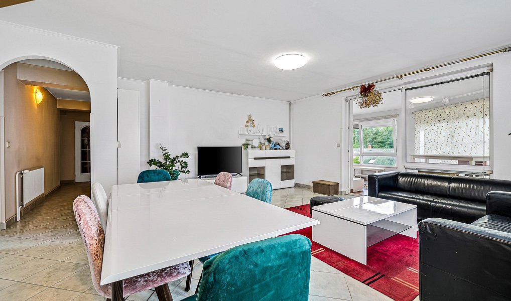 Prodej domu 850 m² s pozemkem 1 600 m², Nový Bor – náhled fotky 34