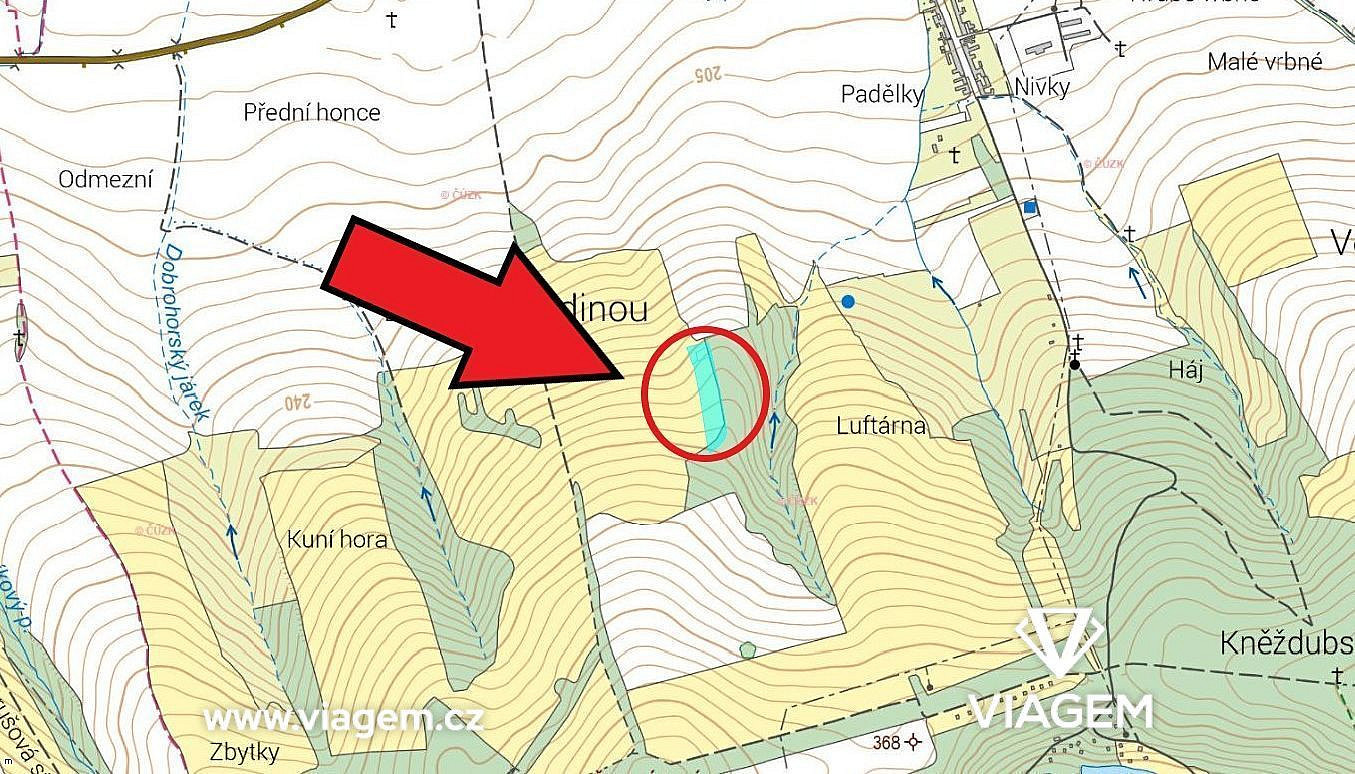 Pole 10 889 m², Podíl 56 % o výměře 6 049 m² – pohled 4