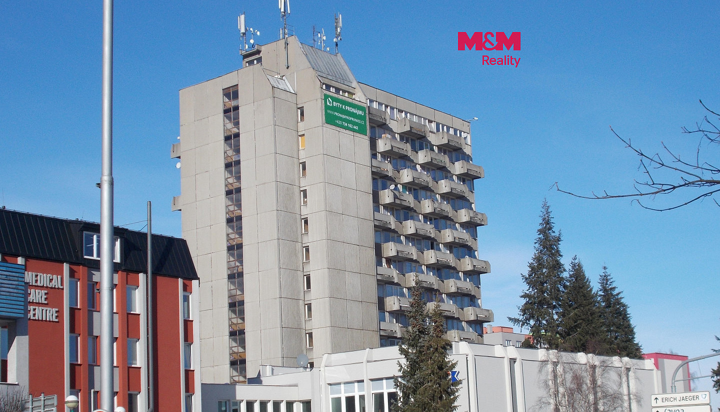 Pronájem bytu 1+kk 20 m²