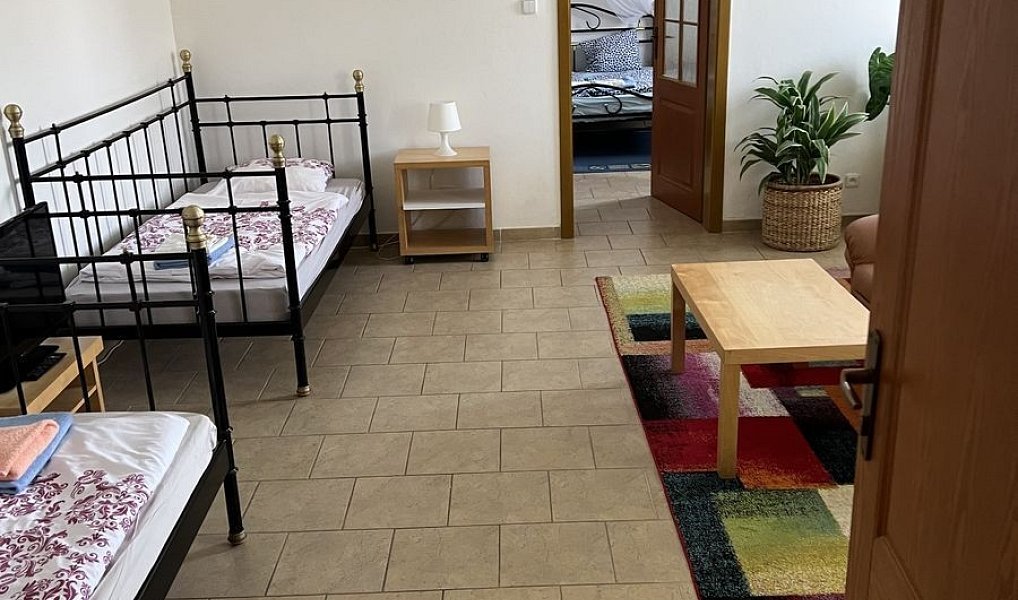 Prodej ubytovacího objektu 700 m², Bobrová – náhled fotky 5
