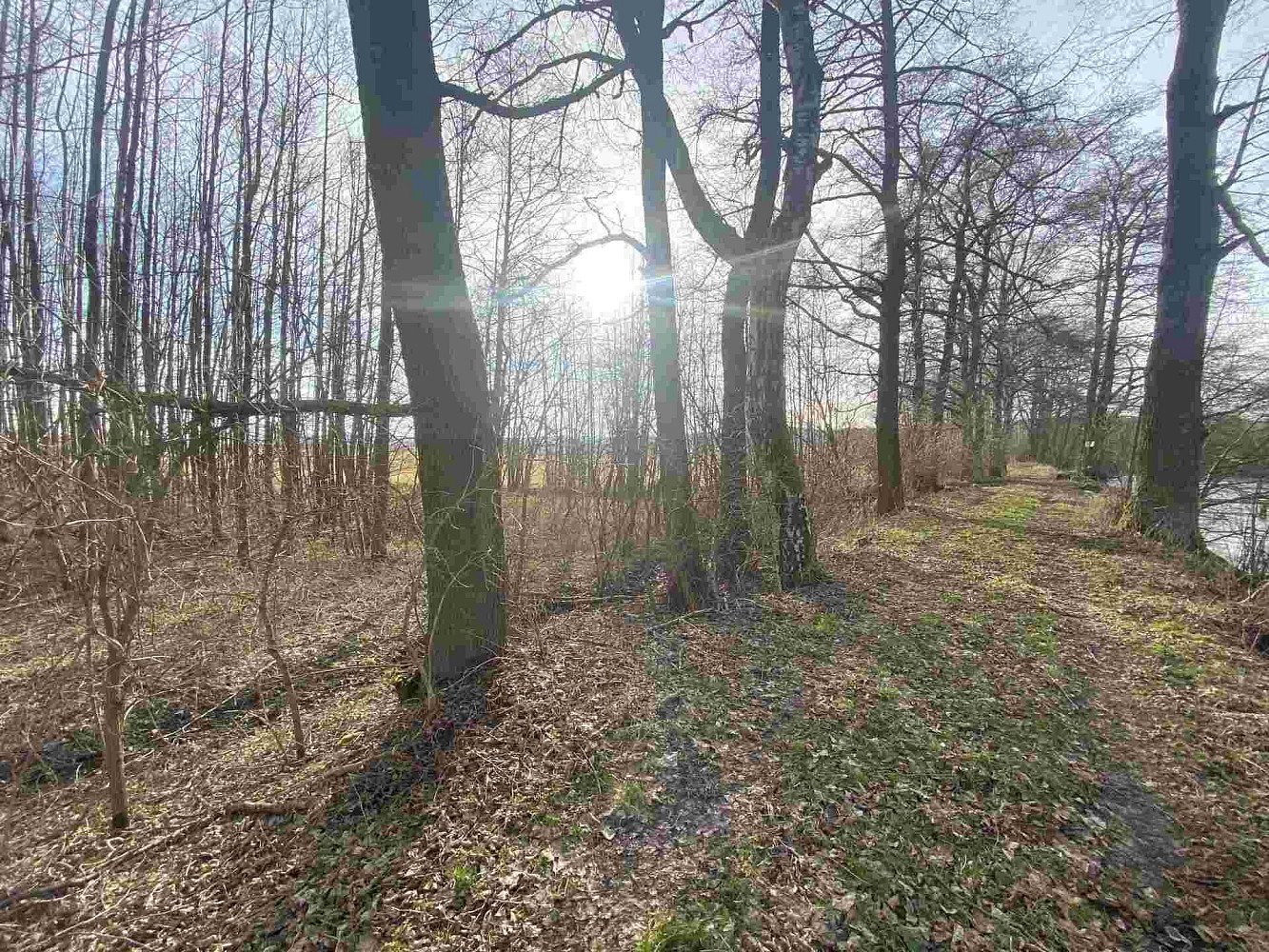 Prodej pozemku 1 109 m² – fotografie 3