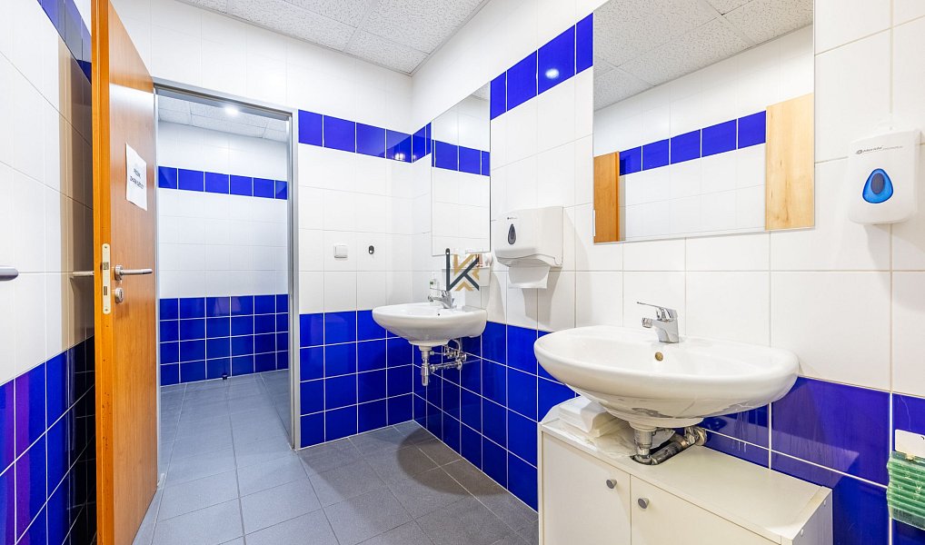 Pronájem obchodních prostor 1 030 m², Praha – náhled fotky 18