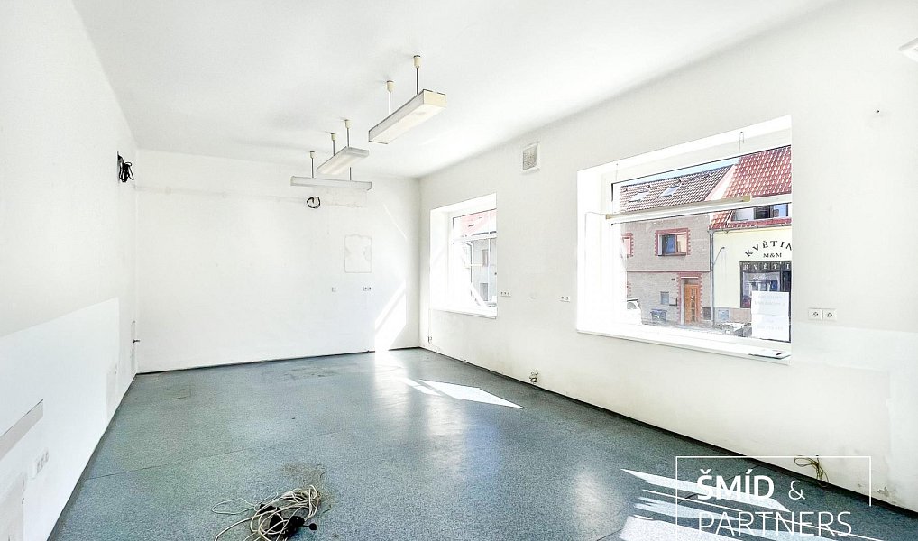 Prodej domu 540 m² s pozemkem 284 m², Zásmuky – náhled fotky 10