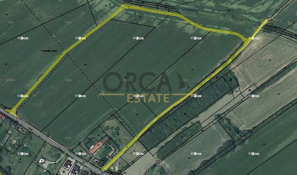 Prodej lesa 4 100 m², Suchdol nad Odrou – náhled fotky 5