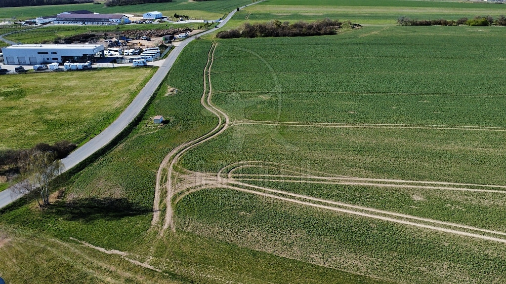 Prodej pole 5 425 m²
