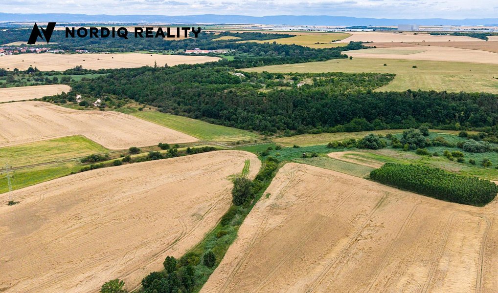 Prodej pole 3 340 m², Staňkovice – náhled fotky 4