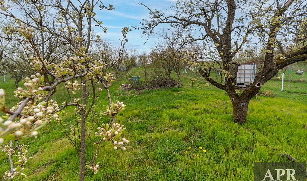 Prodej domu 105 m² s pozemkem 1 078 m², Boršice u Blatnice – náhled fotky 38