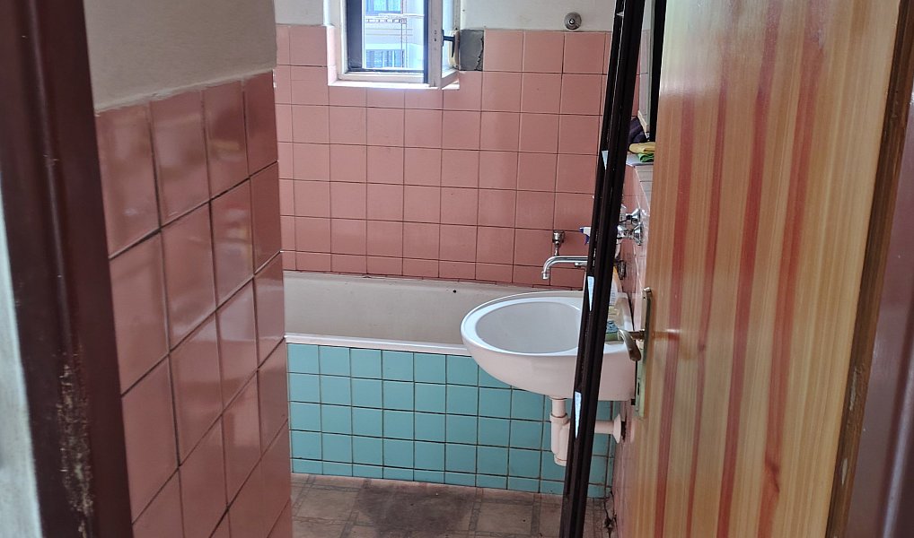 Prodej domu 260 m² s pozemkem 3 645 m², Lhota – náhled fotky 27