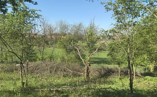 Prodej zahrady 400 m², Postoloprty - Mradice, okres Louny
