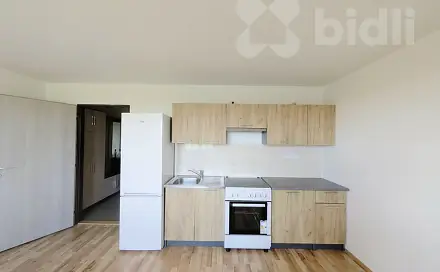 Pronájem bytu 1+kk 31 m², Račiněves, okres Litoměřice