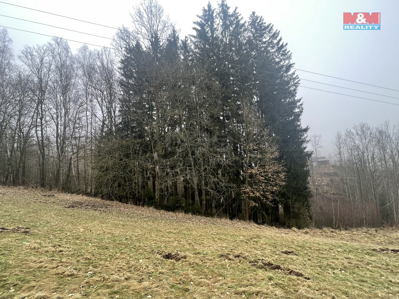 Prodej lesa 33 054 m²