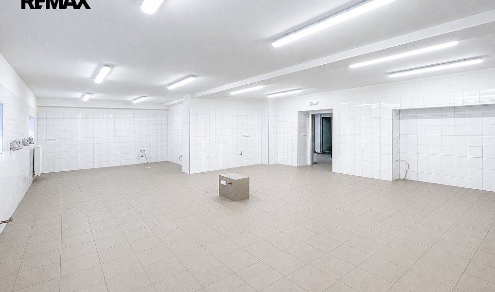 Pronájem výrobních prostor 434 m², Sudoměřice u Tábora – náhled fotky 2