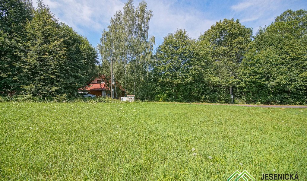 Prodej stavebního pozemku 794 m², Černá Voda – náhled fotky 3