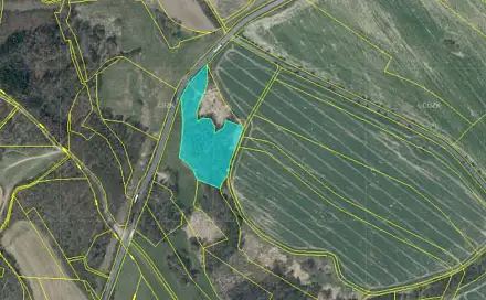 Prodej lesa 13 318 m², Kravaře - Nýřany