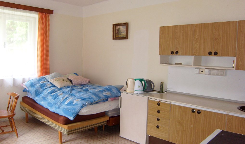 Prodej domu 100 m² s pozemkem 6 962 m², Jenišovice – náhled fotky 2