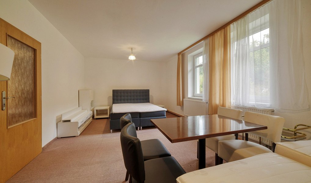 Prodej restaurace 899 m², Mariánské Lázně – náhled fotky 10