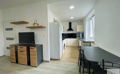 Pronájem bytu 3+1 67 m², Sokolovská, Karlovy Vary - Rybáře