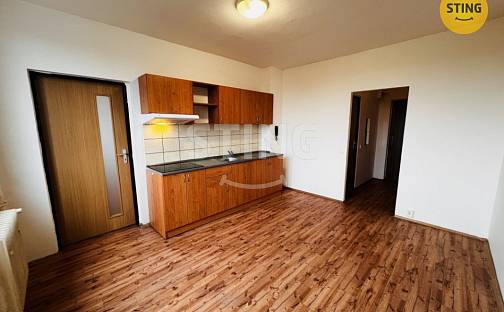 Pronájem bytu 1+1 45 m², Plzeňská, Ostrava - Zábřeh