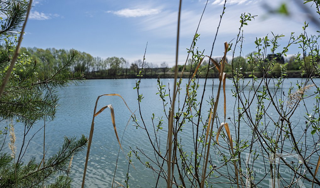 Prodej komerčního pozemku 111 367 m², Nymburk – náhled fotky 8