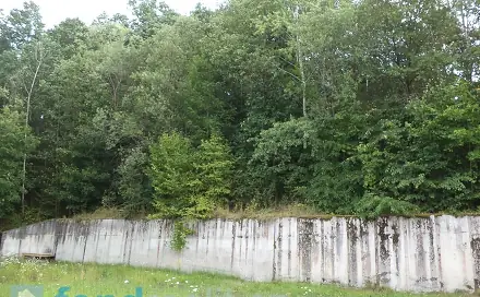 Prodej pozemku 20 120 m², Kaplice - Blansko, okres Český Krumlov