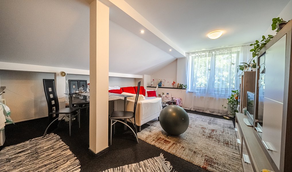Prodej ubytovacího objektu 500 m², Odry – náhled fotky 4