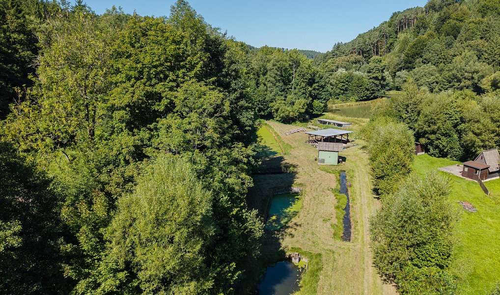 Prodej vodní plochy 8 295 m², Nové Hrady – náhled fotky 5