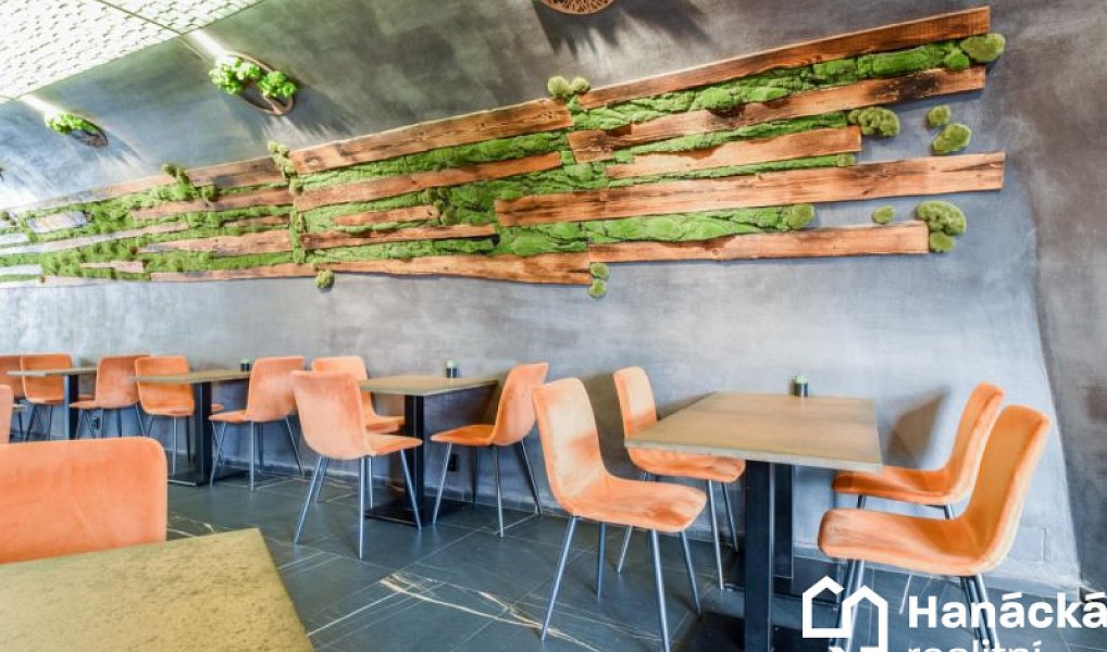 Prodej restaurace 200 m², Olomouc – náhled fotky 10