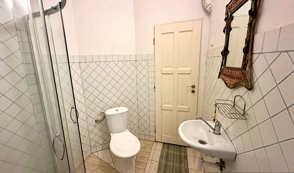 Prodej domu 400 m² s pozemkem 15 757 m², Železná Ruda – náhled fotky 13