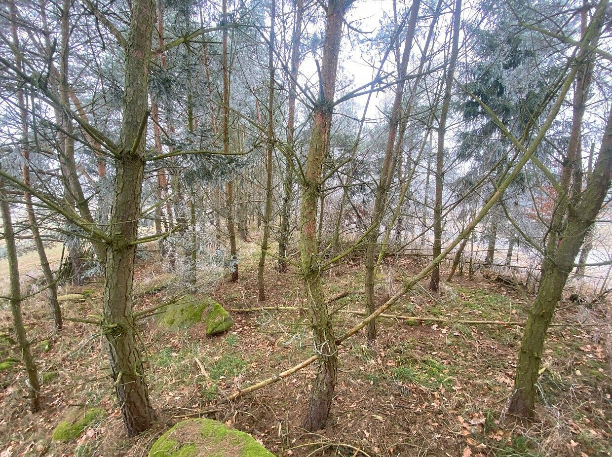 Prodej pole 13 059 m² – fotografie 4