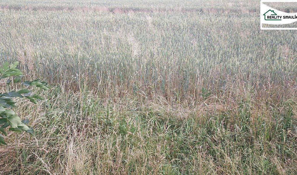Prodej pole 99 724 m², Maňovice – náhled fotky 4
