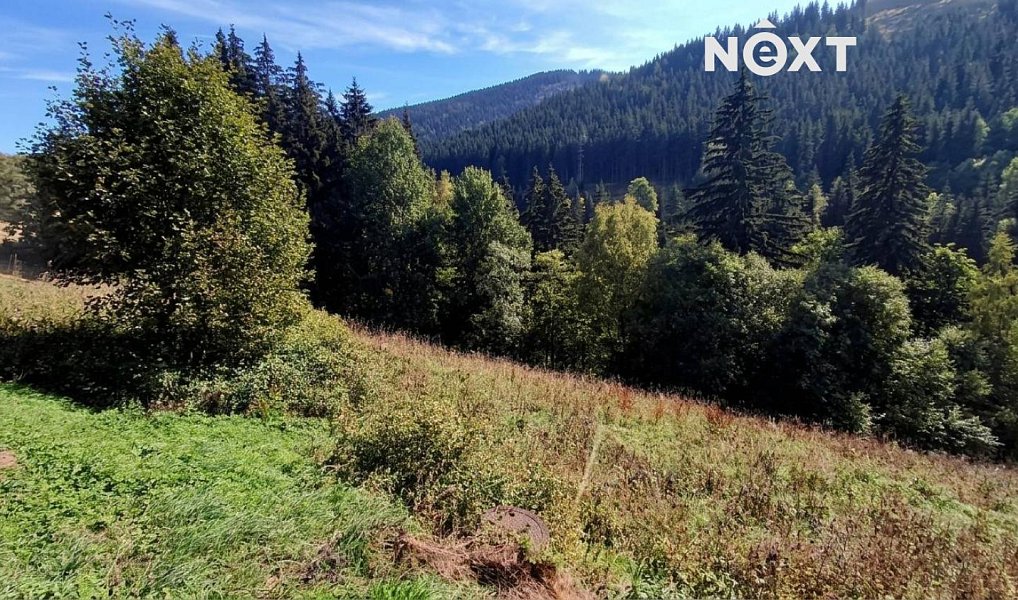 Prodej stavebního pozemku 4 273 m², Pec pod Sněžkou – náhled fotky 5
