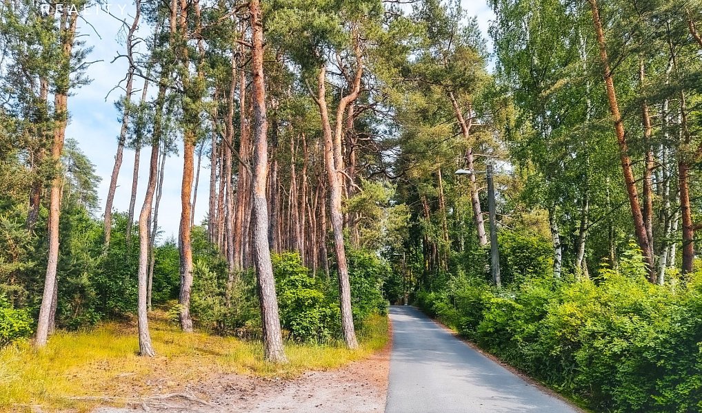 Prodej stavebního pozemku 850 m², Plzeň – náhled fotky 6
