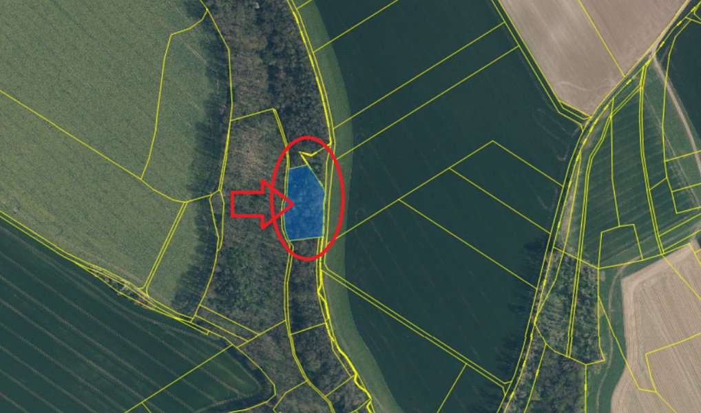Prodej lesa 3 833 m², Boreč – náhled fotky 7