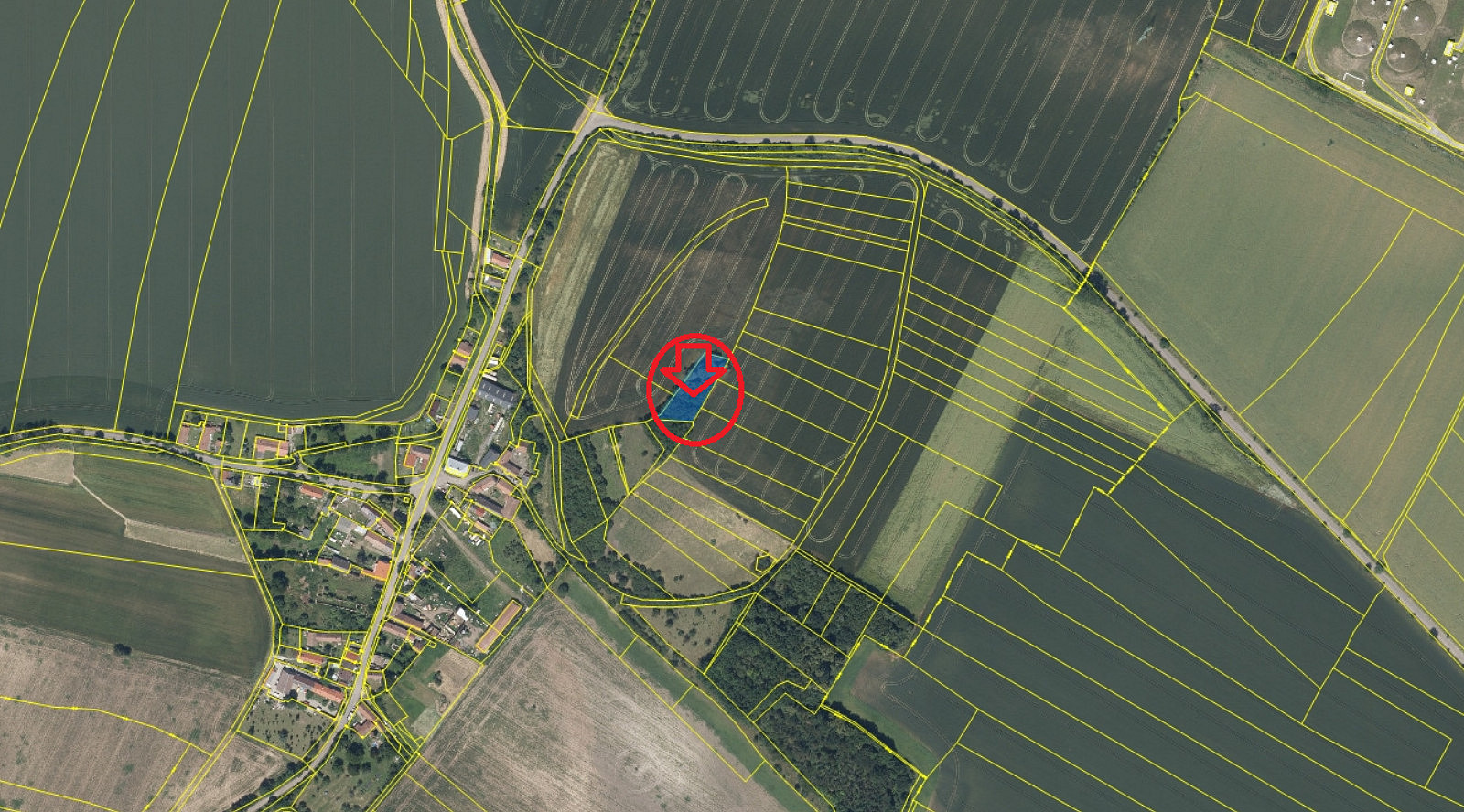 Prodej lesa 1 690 m² – fotografie 3