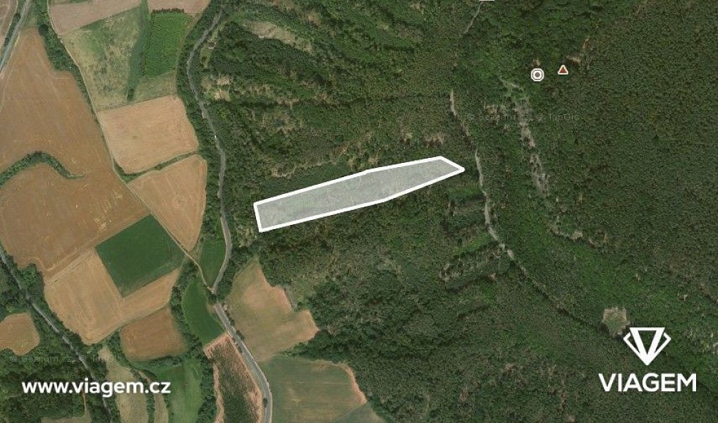 Prodej lesa 5 452 m², Hřivice – náhled fotky 2