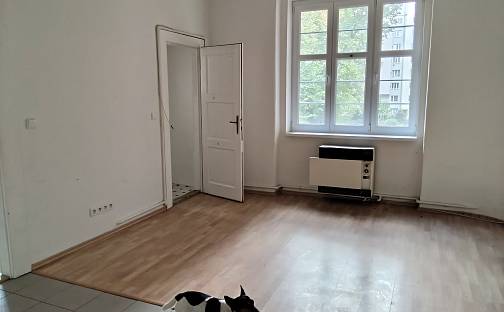 Pronájem bytu 2+kk 65 m², Jeseniova, Praha 3 - Žižkov